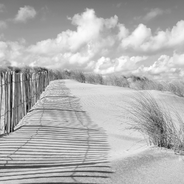 BW-100-1C