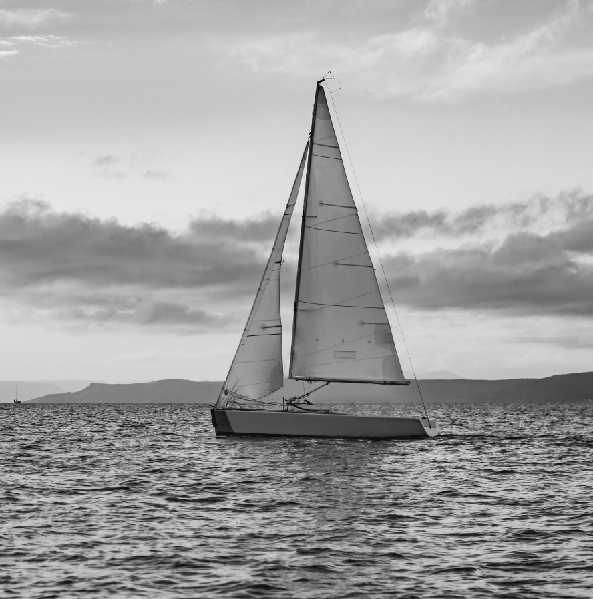 BW-100-1D