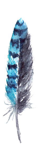 AAN-300-43B