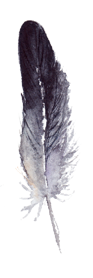 AAN-300-43C