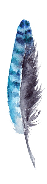 AAN-300-43D